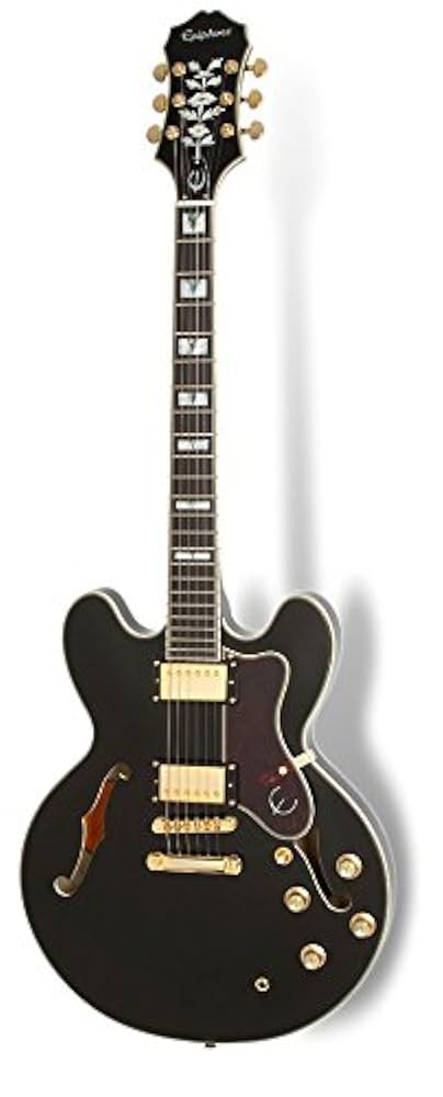Epiphone Sheraton Ⅱ Pro Epiphone Sheraton-II Pro Natural | Polska